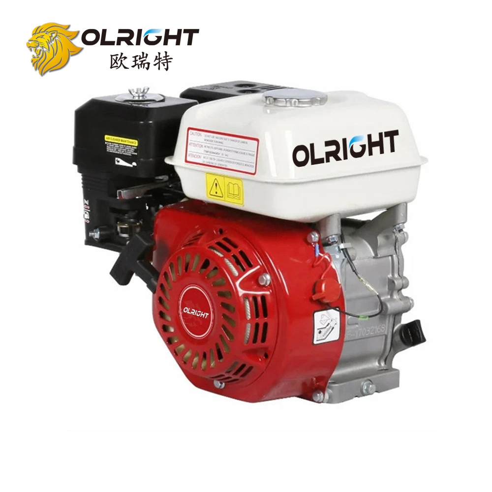 6.5HP Gx200 Gasoline Engine with Pulley Hot Selling