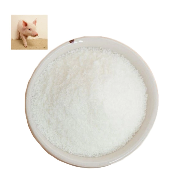 100%Pure Hydrolyzed Pork Collagen Peptide Pig Skin Powder for Beauty