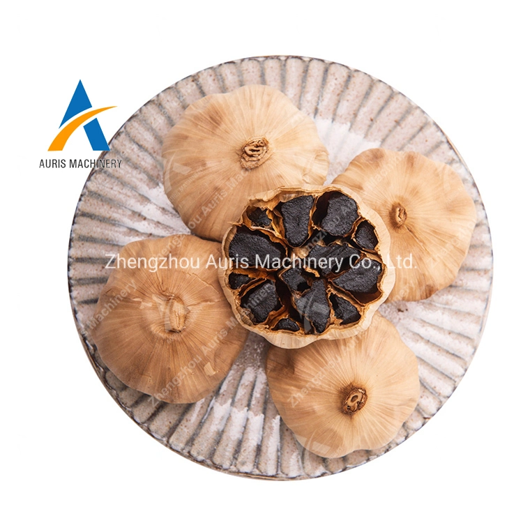 Best Quality Black Garlic Fermenter Black Garlic Fermenting Machine Black Garlic Fermenting Processing Machine