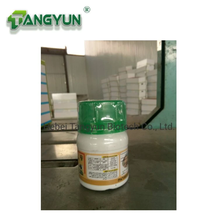 Lambda-Cyhalothrin 4%+Emamectin Benzoate 1%Ec Vegetable Insecticide Compound