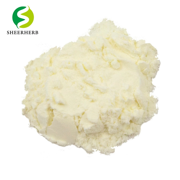 Egg-White Albumen Powder Unflavored Egg White Protein Powder Egg White Powder