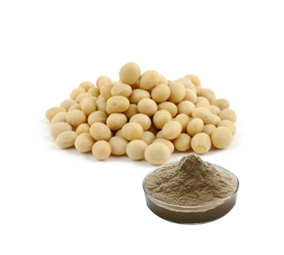 Soybean Extract Phosphatidyl Serine Phosphatidylserine PS 70% Soybean Protein 60%-90% Beta Sistosterol 40%-80%