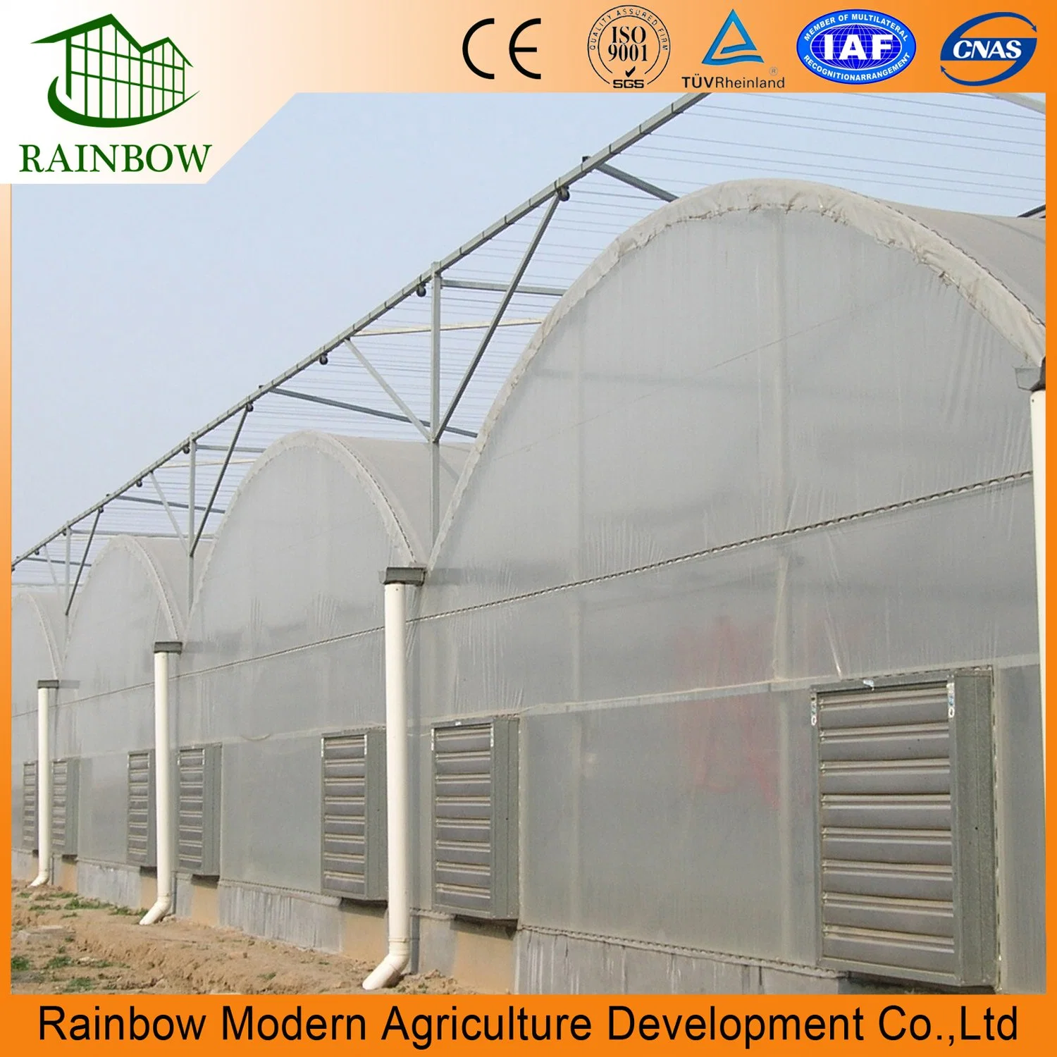 Multi-Span Material Plastic Film Greenhouse for Flowers/Vegetable/Fruits