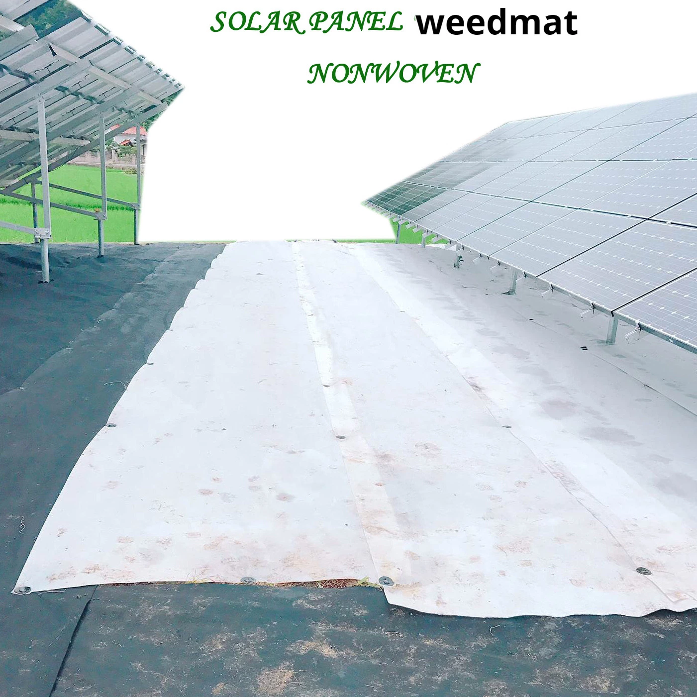 Waterproof Agricultural Ground Cover Cloth Anti Frost Plant Cover Qingdao Port