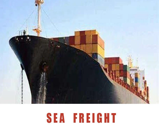 Support Sensitive and Dangerous Cargo Best China Logistics Service Freight Forwarder Sea Transport Form Tianjin to Morocco Casablanca