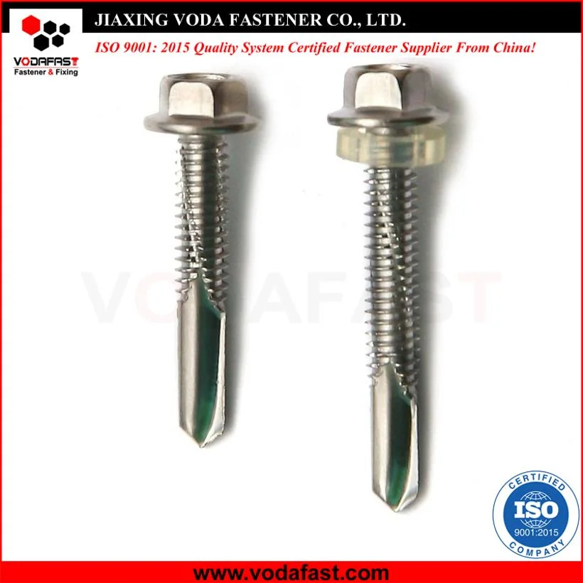 Vodafast Ss Carbon Steel Hex Washer Drilling Screw with Plastic Washer
