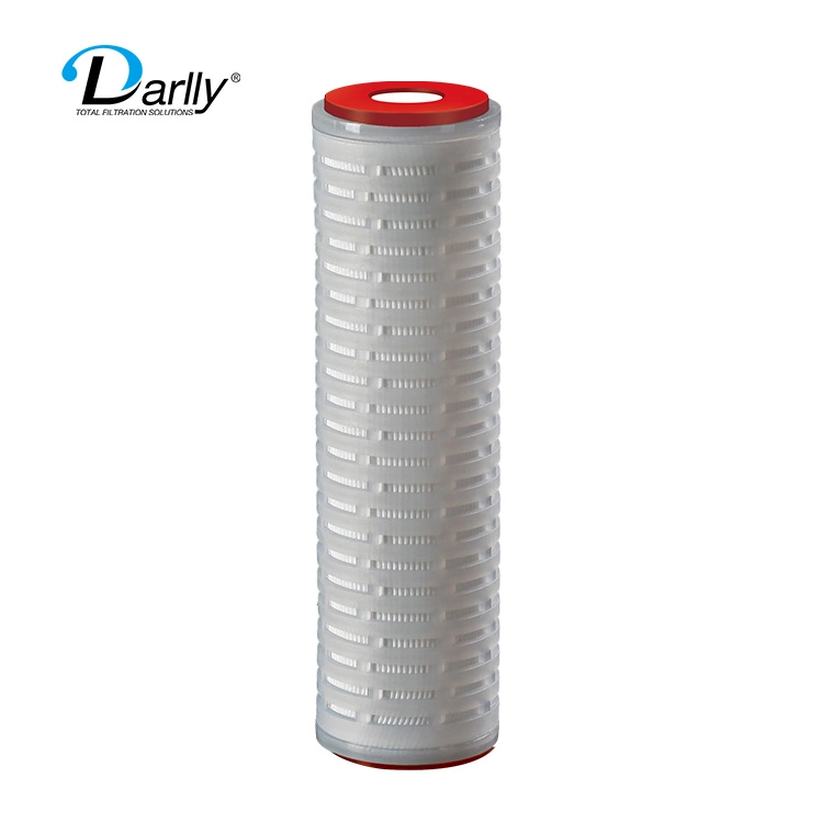 Darlly 0.45+0.22um High Safety Double Layer Polyethersulfone (PES) Membrane Pleated Filter Cartridgefor Final Sterile Filtration