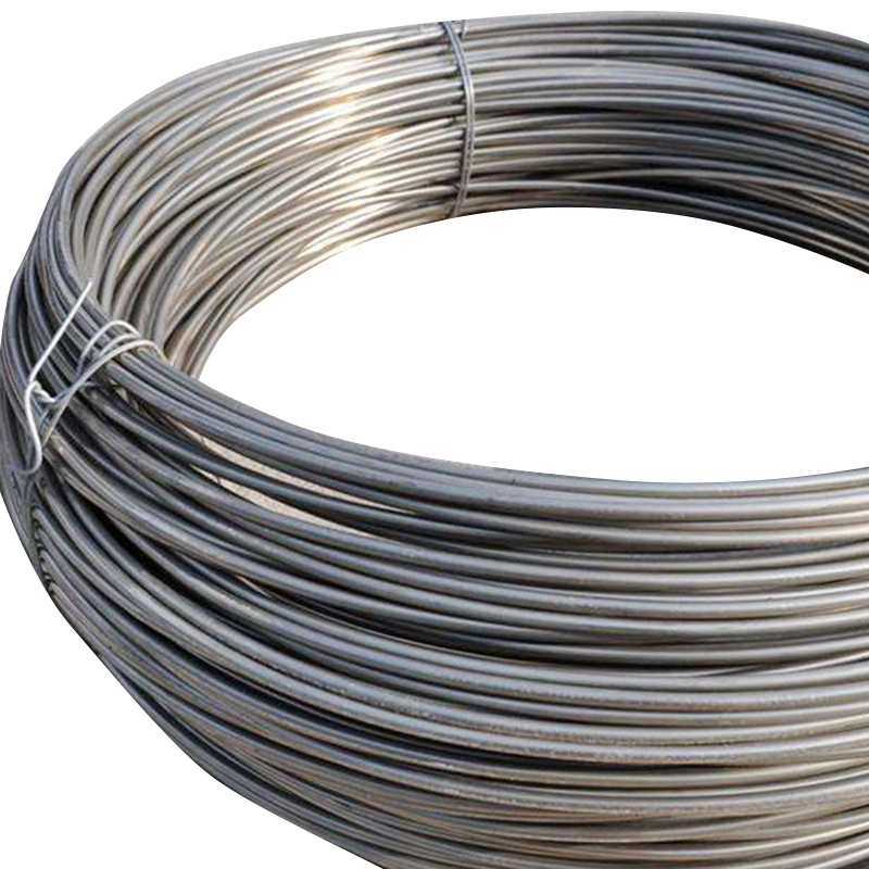 Factory Direct Sale 201 304 321 Microns Stainless Steel Fine Wire for Textile