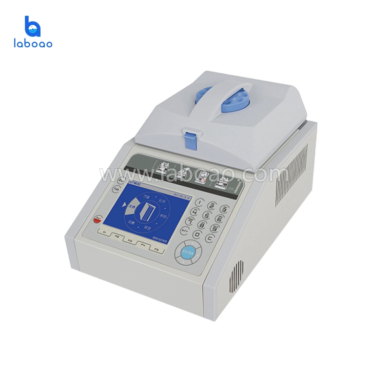 96 Well PCR Thermal Cycler Lab Machine Economical PCR