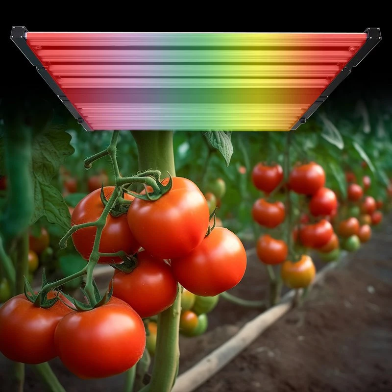 4 Head LED Grow Light Full Spectrum Phytolamp for Plants Full Spectrum Phyto Growth Lamp