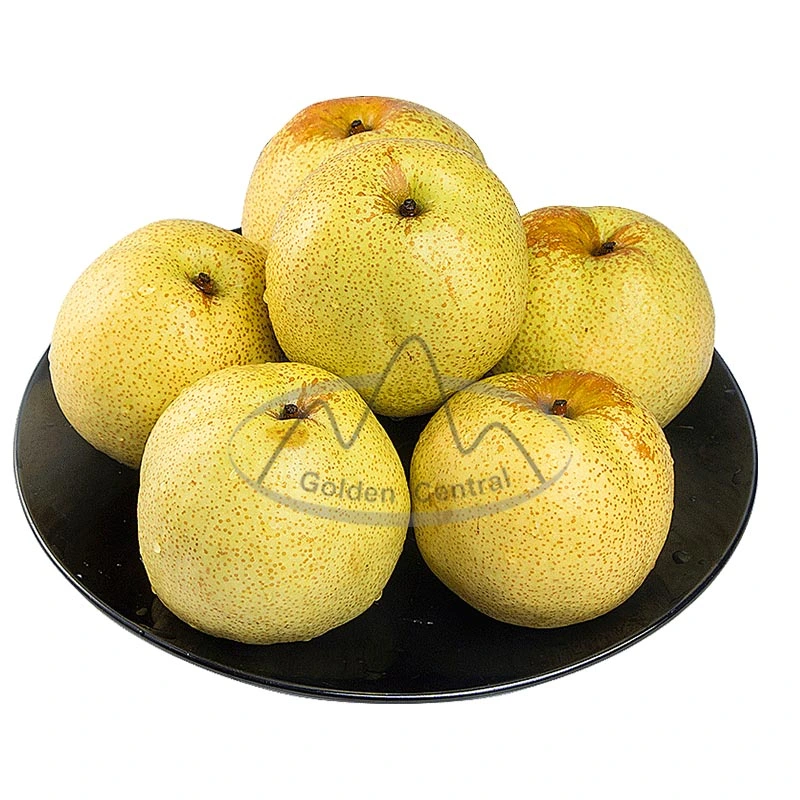 New Crop Best Quality Sweet Ya Pear