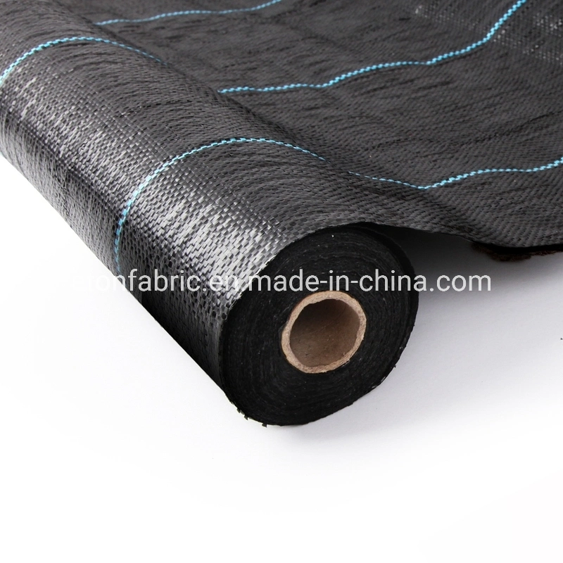 6X100m PP/PE Anti Grass Cloth Black Garden Weed Barrier Ground Cover