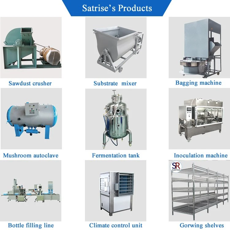 Satrise Mushroom Packing Machine Apply to Fresh Mushroom Package