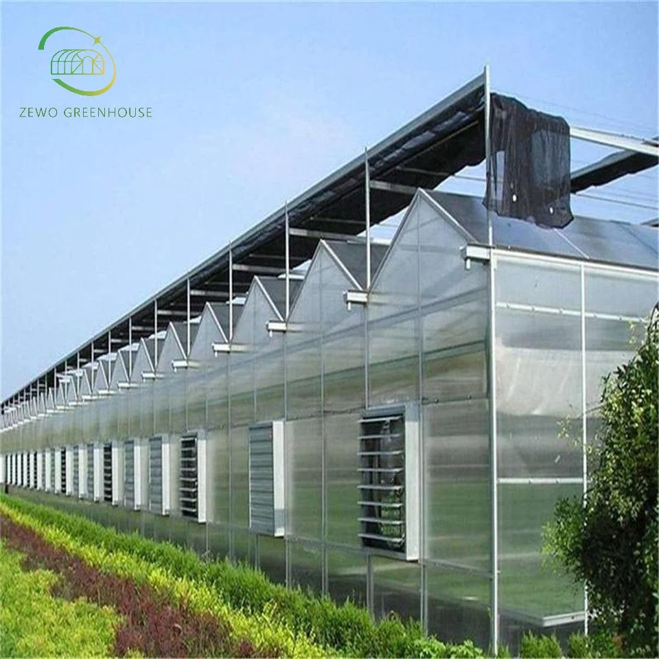 Multi-Span Poly Carbonate Agricultural Greenhouse for Tomato/ Cucumber/ Lettuce/ Pepper Planting