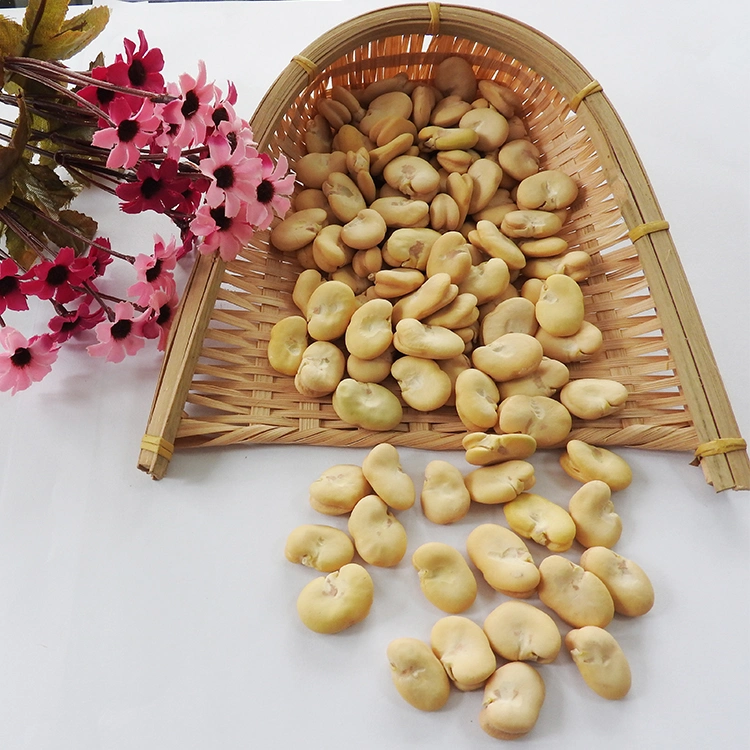 Peeled Whole Chinese Broad Beans Fava Beans Without Shell