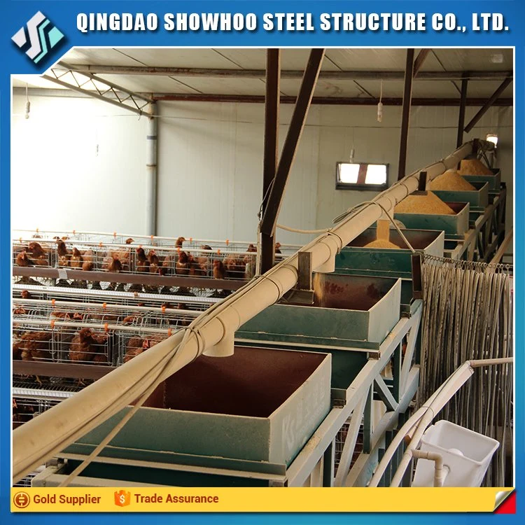 Durable and Cheap Chicken Equipment Poultry Farm with Factory Design