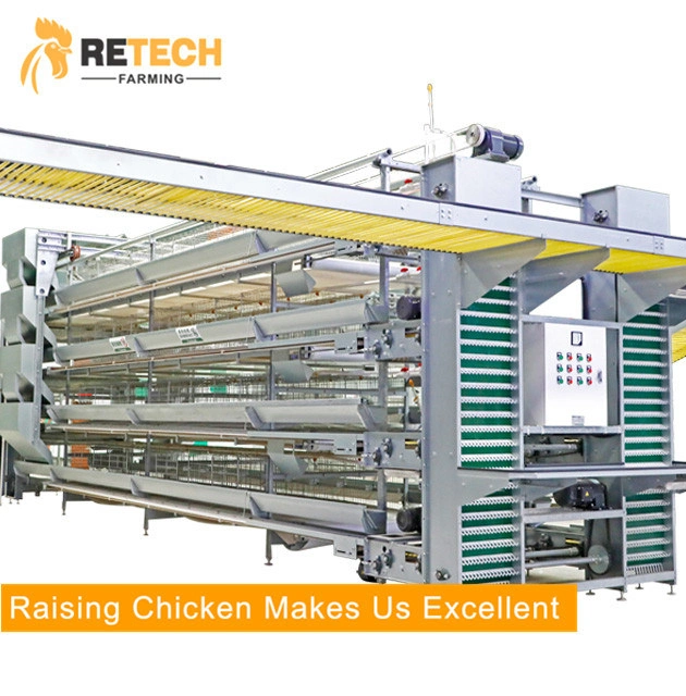 Full Automatic Egg Collecting Machine For Layer Battery Cage