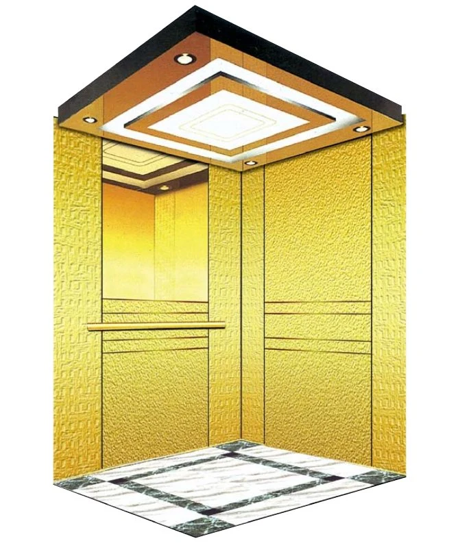 Fujixun Gorgeous and Noble Gold Cabin Passenger Elevator with Low Price