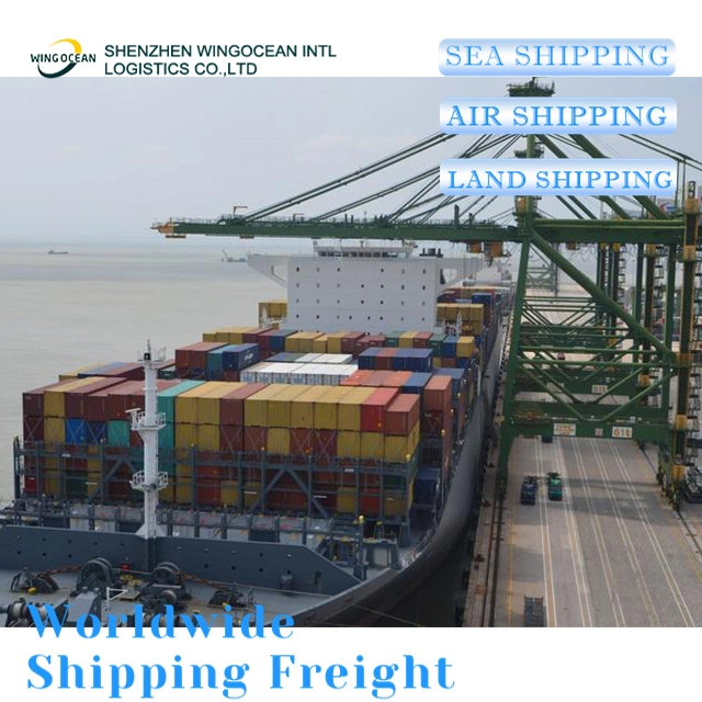 Low Price and Fast Boat Door to Door Service Shipping From China to India