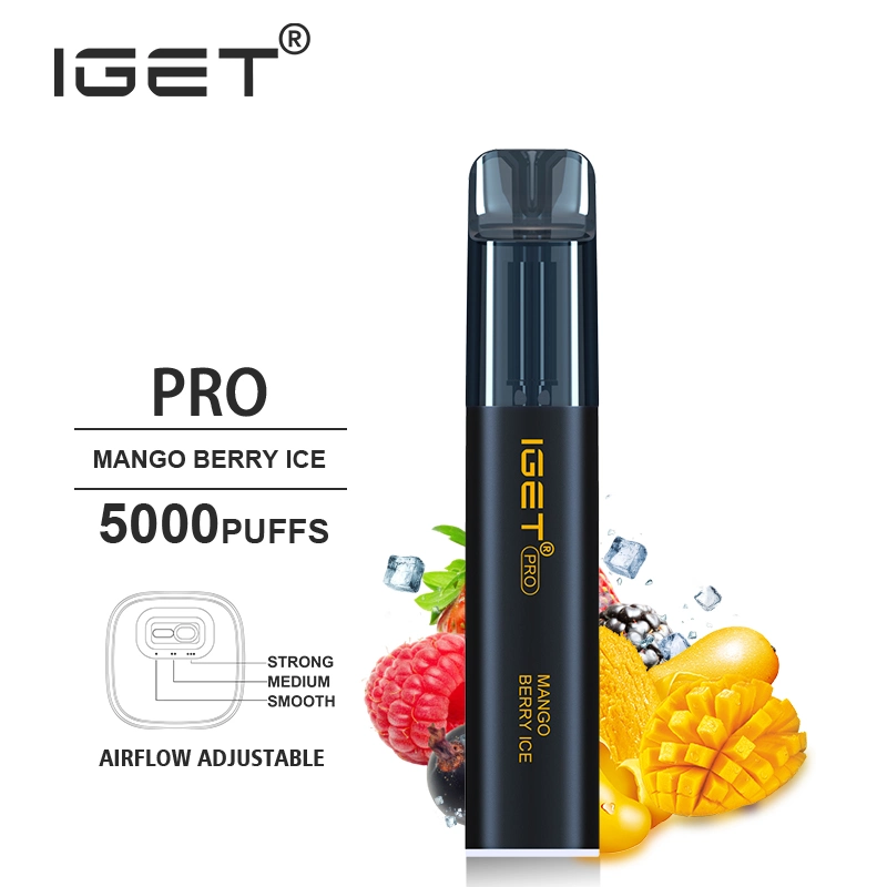 2022 Wholesale/Supplier Disposable/Chargeable Vape Pen Iget PRO 5000puffs