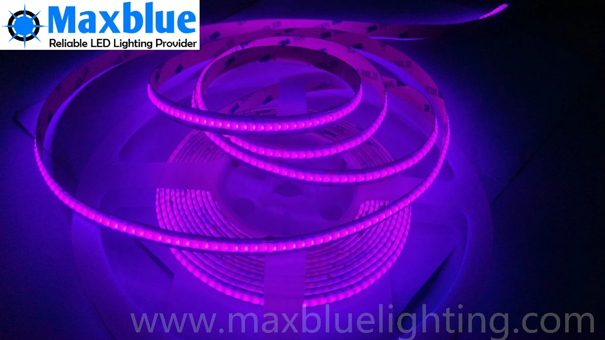 COB Strip LED RGB 450/480 3 Jahre Garantie CE RoHS