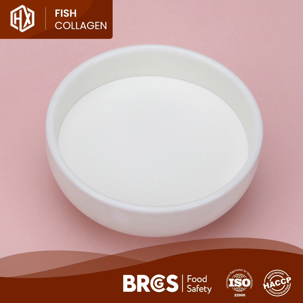 Haoxiang High-Quality Natural Tilapia Scale & Marine Collagen Powder Free Sample Marine Tilapia Scale Beauty Skin China Collagen Peptide Powder Capsules