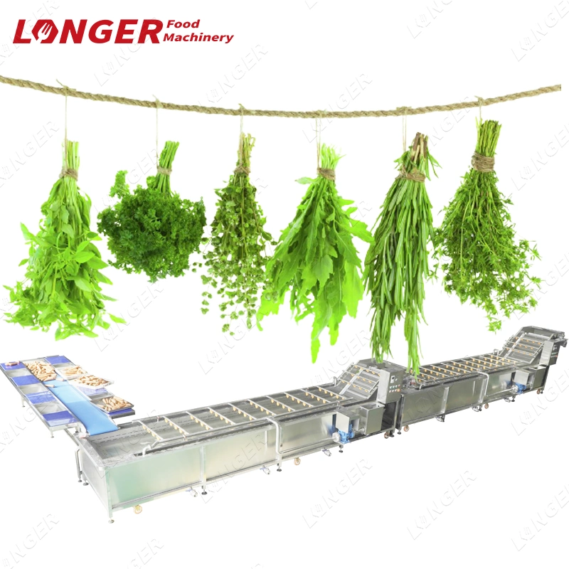 Multi Fruit and Vegetable Washing Line Vegetables Processing Line Fruit and Vegetable Cutting Packing Machine Line