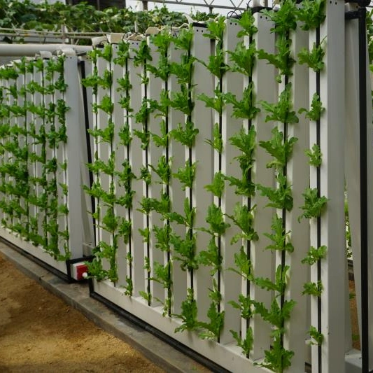 Система ПВХ в состариках для сада внутри помещений Гидропоники растут Tent Vertical NFT Гидропонные системы