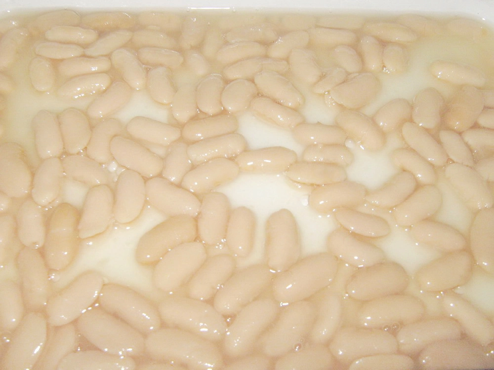 Alimentos enlatados Conservas de Feijão Branco Enlatada Feijão na venda a quente