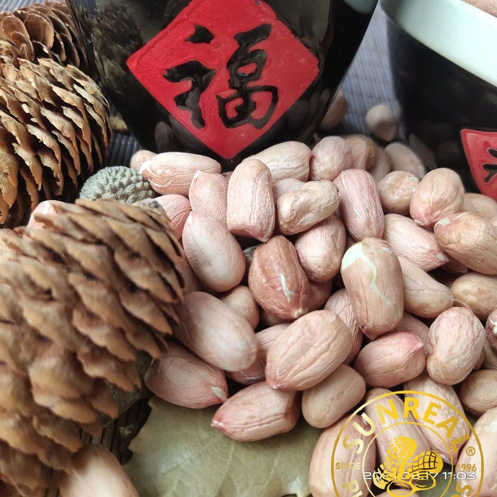 Raw Peanut Kernels /Long Type 24/28 From China Plump Seed