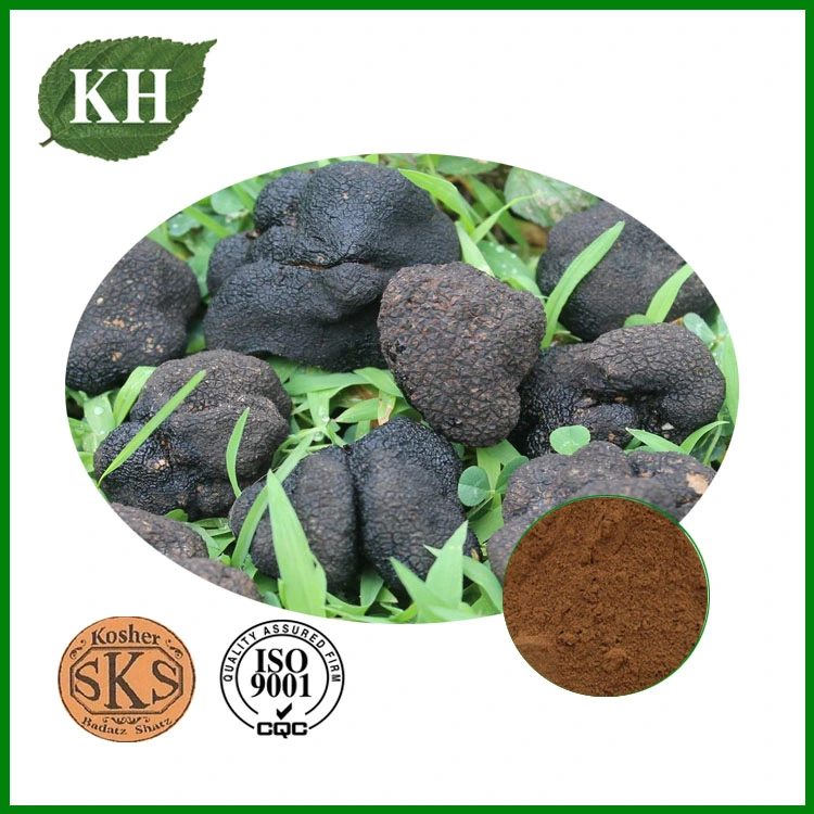 El extracto de trufa negra Tuber melanosporum, Nº CAS: 85085-76-3