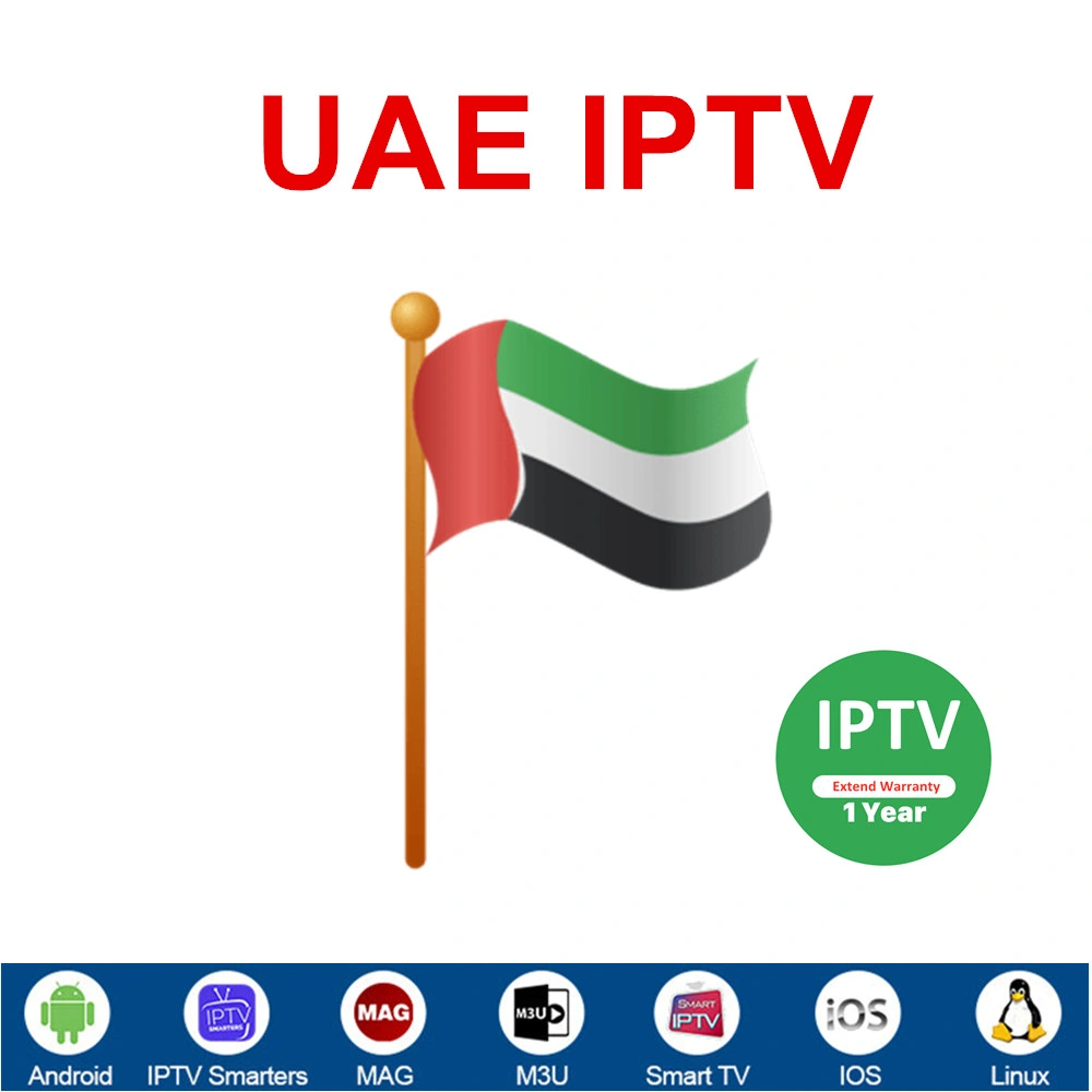 Arabe IPTV Evdtv Premium M3U abonnement 4K crédit pour panel revendeur Code Europe USA Server