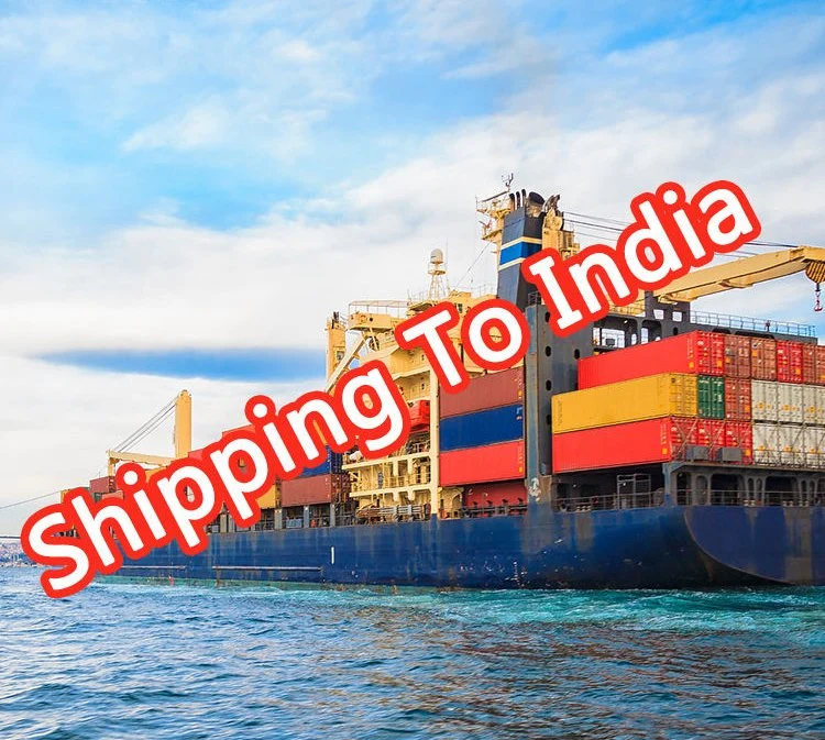 Agente de envío de Shenzhen a India Express Services Ship Agent DHL Ship Freight Forwarder LCL FCL DDP sea Shipping China A la India