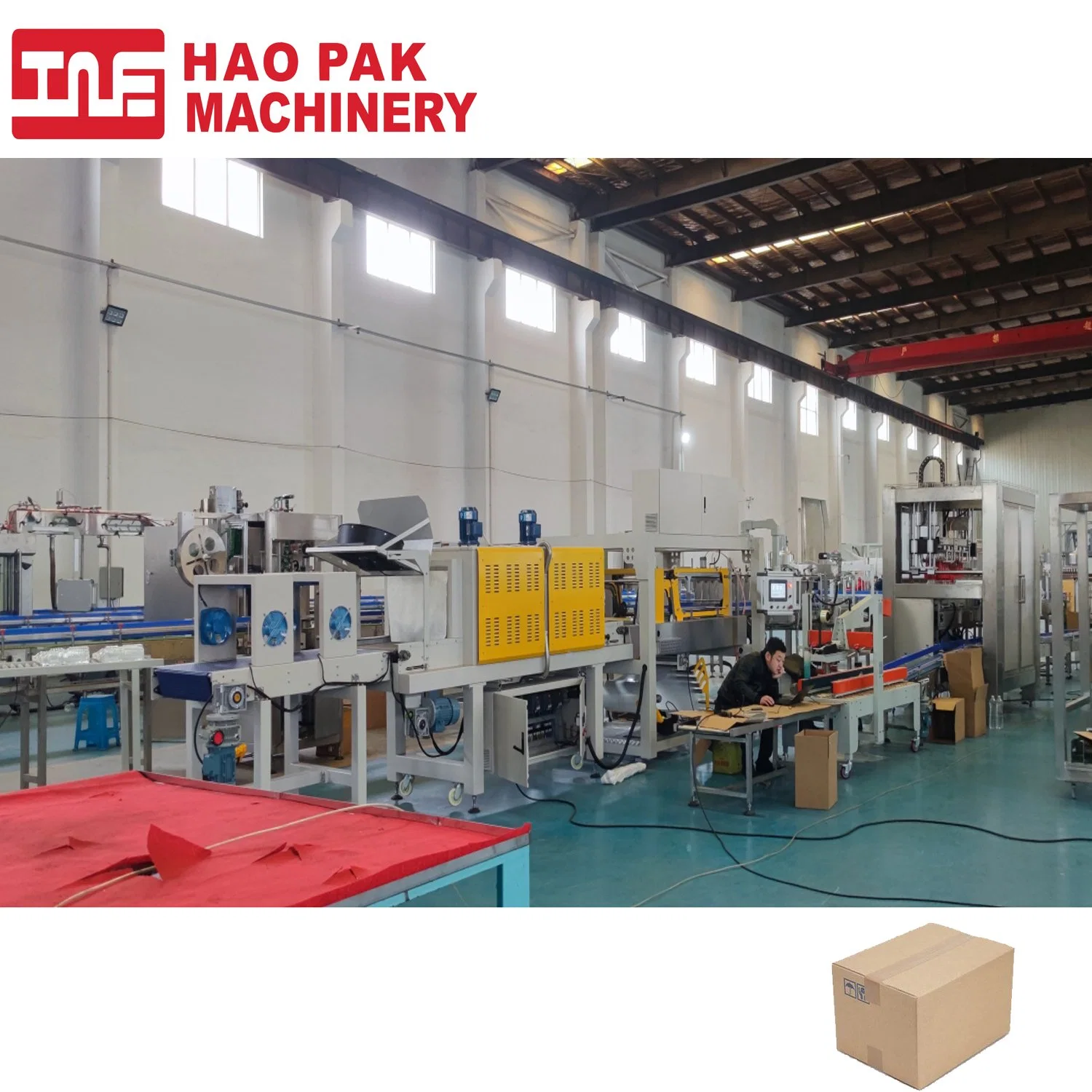 Packs Clay Coated Kraft Carton Beer Can Cartoning Machine Automatic Case Packing Machine