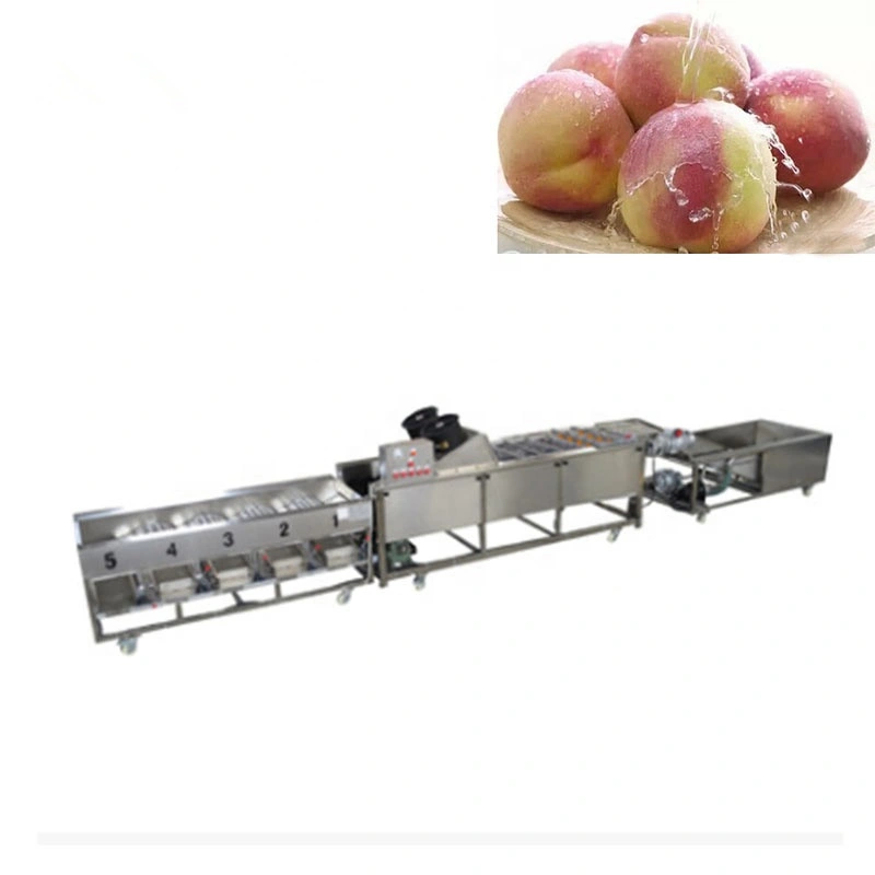 Fruit and Vegetable Sorting Grading Machine for Apple/Potato/Onion/Orange/Pomegranate for Sale