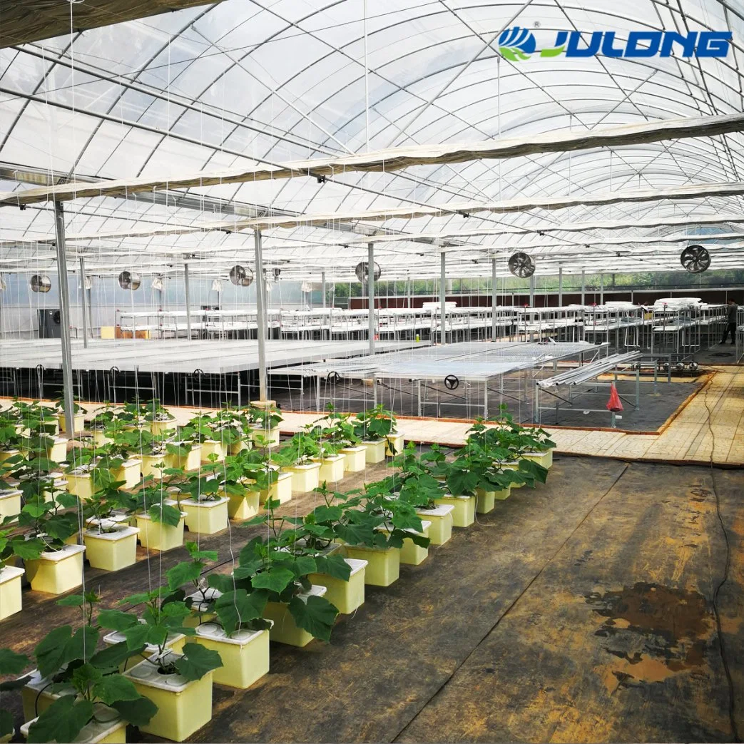 Hot Selling Smart Sunshade Easy to Grow Ecological Agricultural Greenhouse