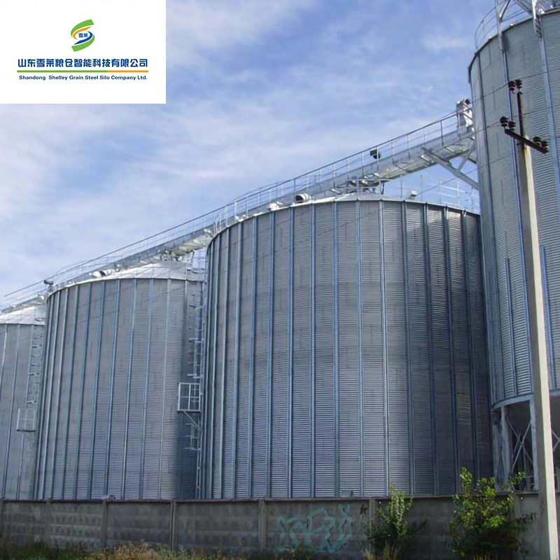 Granja de cerdos de aves de corral de alimentación utiliza almacenamiento molino de grano de acero de silo de fondo plano.