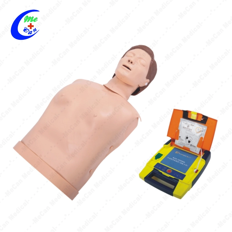 Formation en usine à demi-corps Portable poupée Mannequin mannequin adulte mâle de la diversité Kit 4 Manekin CIP CPR