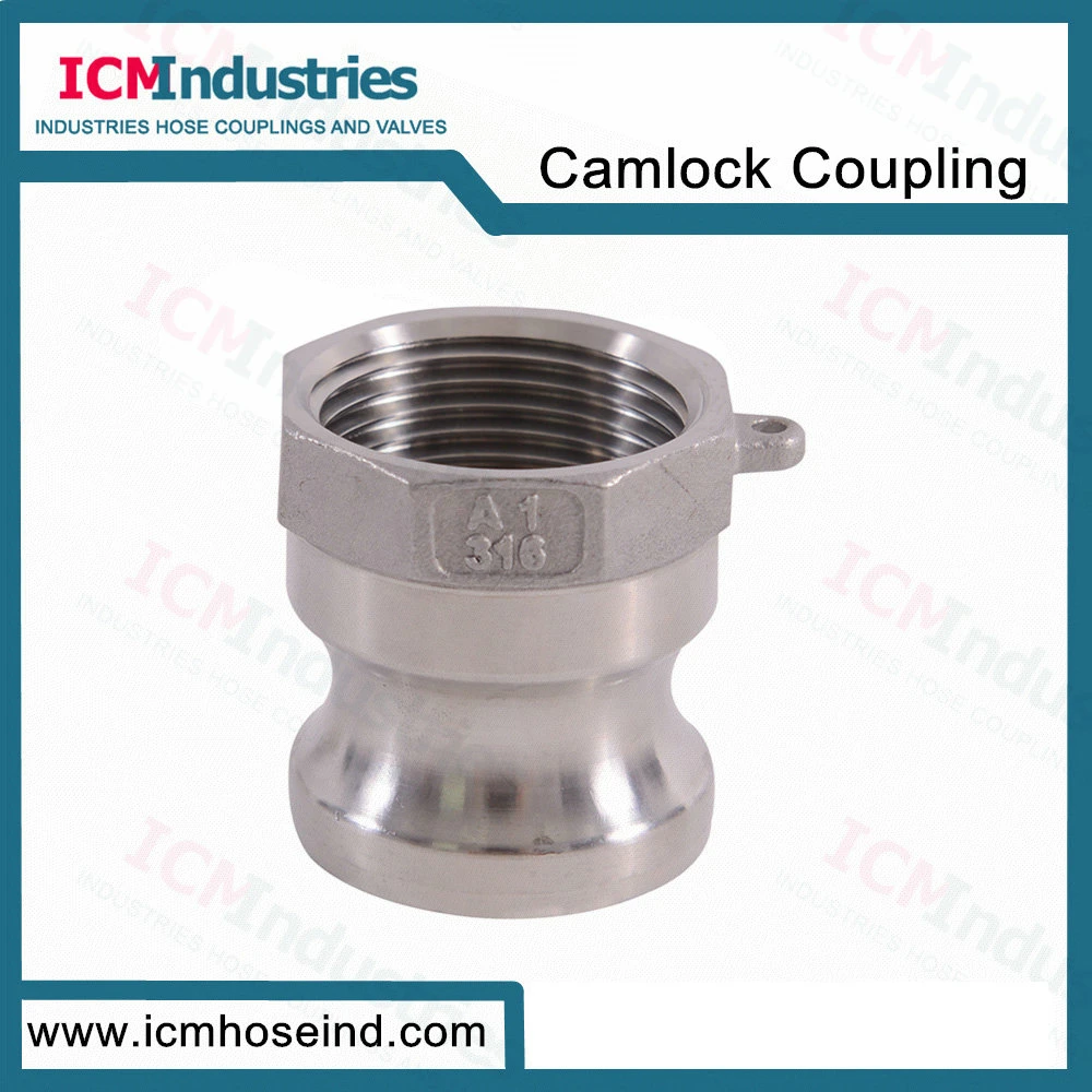 304 316 Stainless Steel 1/2''threaded Cam Lock Quick Coupling