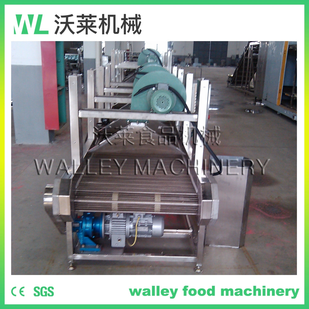 China Vegetable Surface Water Blowing Machine Blower