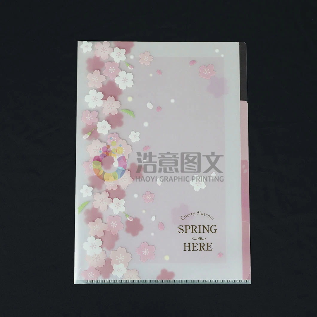 China Wholesale/Supplier Company Folder Partition Color Printing Custom Logo Packaging