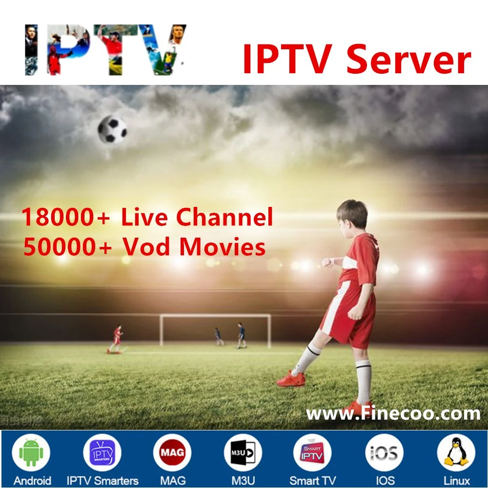 IPTV de 12 meses de canal de distribuidores de almacenamiento en búfer grupo m3u el código de Android TV Box Set Top