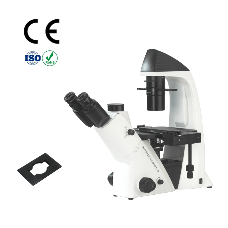 Toallitas de Microscopio MOTIC BA310e invierte en China microscopio biológico para la personalización básica