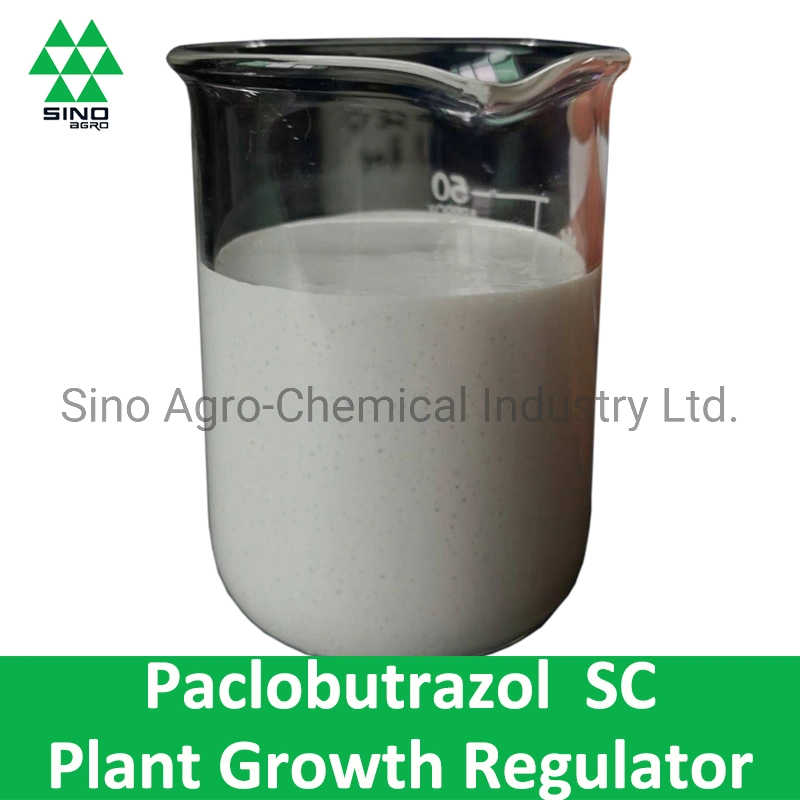 Mango Fertilizer Paclobutrazol 250g/L Sc Plant Growth Regulator & Fungicide