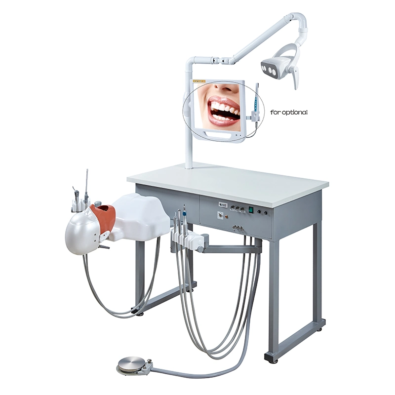 Dental Training System Unit Medical School Use Dental Phantom Head Simulator