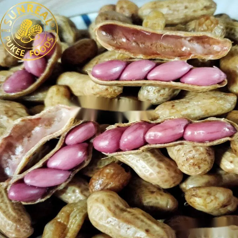 Frozen Cooked Red Skin Peanut in Shell//Salty/Fresh&Soft&Juicy/Nice Snacks