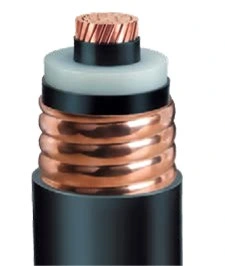 Cu/XLPE/CAS/PVC 66kv 110kv 132kv 220kv XLPE Insulated Underground Power Cable