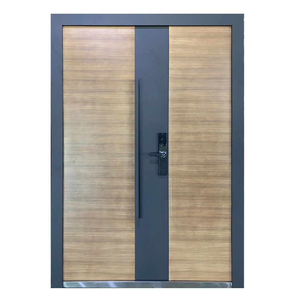 High-Strength High-Structural Tof Advanced High Durable Industry Leading Great Quality Steel Entrance Door