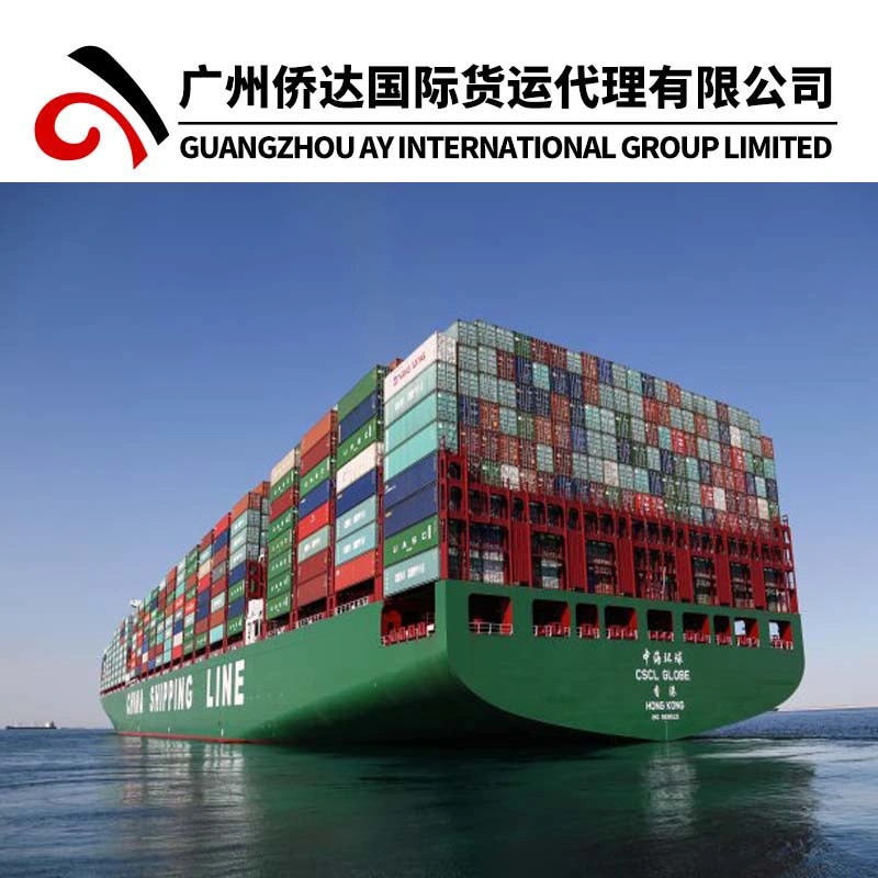 Alibaba/1688 Express Air/Sea Freight/Shipping Container LCL Agent da China para América Canadá México