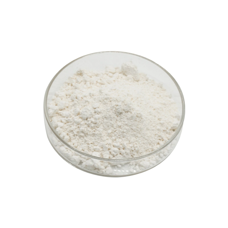 SOST Nootropics suplemento del 99% Polvo Coluracetam